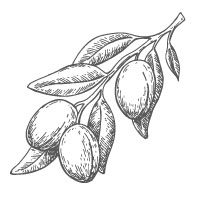 Argan Argan
