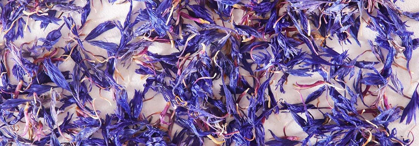 Lessonia is a manufacturer of cosmetic ingredients specialising in decorative particles, particularly flower particles.