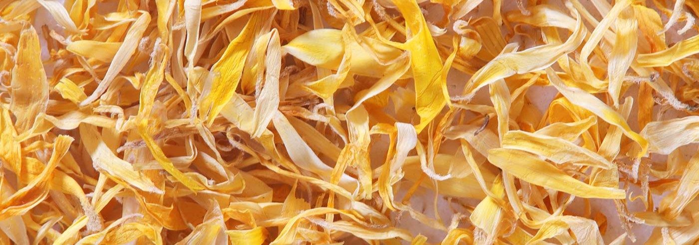 Lessonia is a manufacturer of exfoliants for developing cosmetic products and exfoliating treatments such as scrubs. 