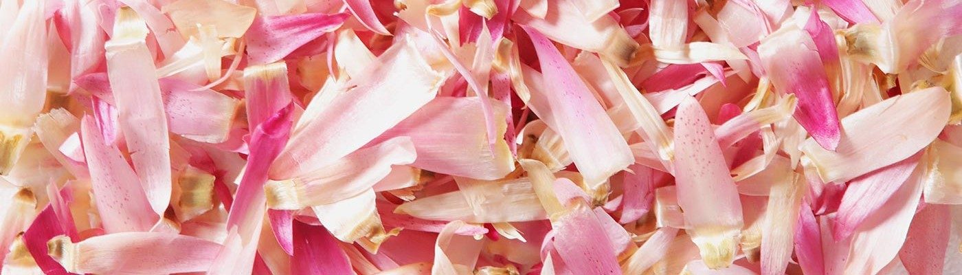 Lessonia is a manufacturer of cosmetic ingredients specialising in decorative particles, particularly flower particles.