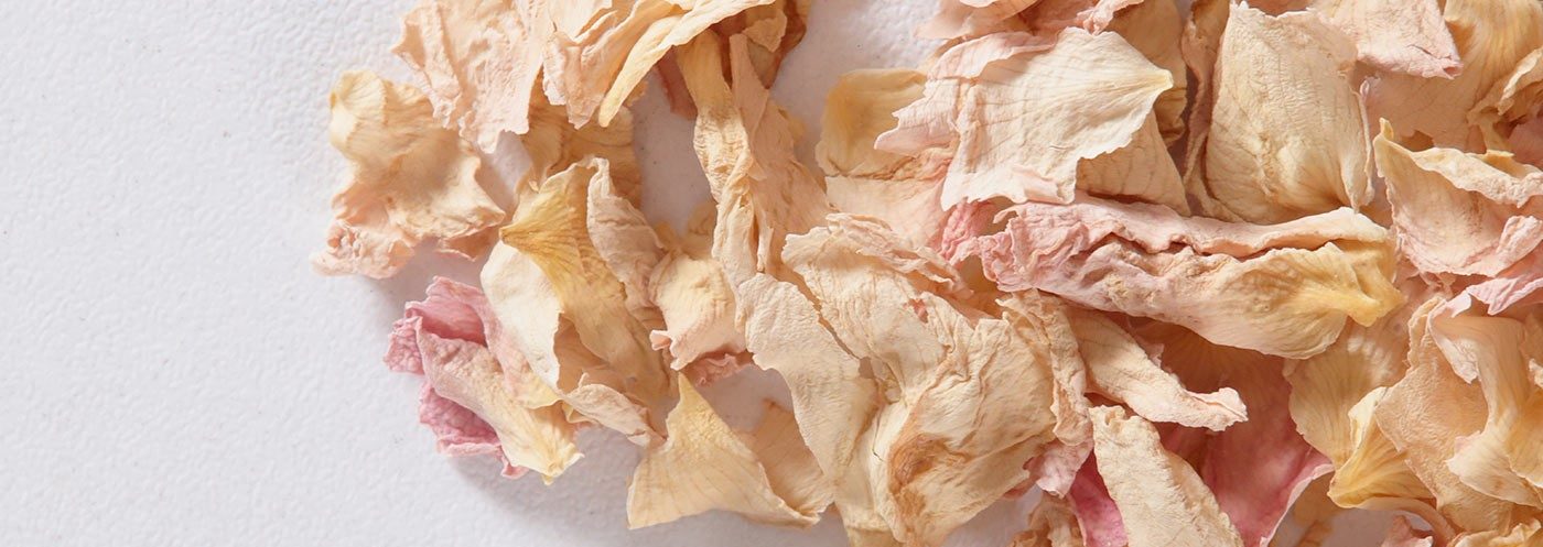 Lessonia est un fabricant d'ingrédients cosmétique spécialisé dans les particules décoratives notamment dans les particules de fleurs.