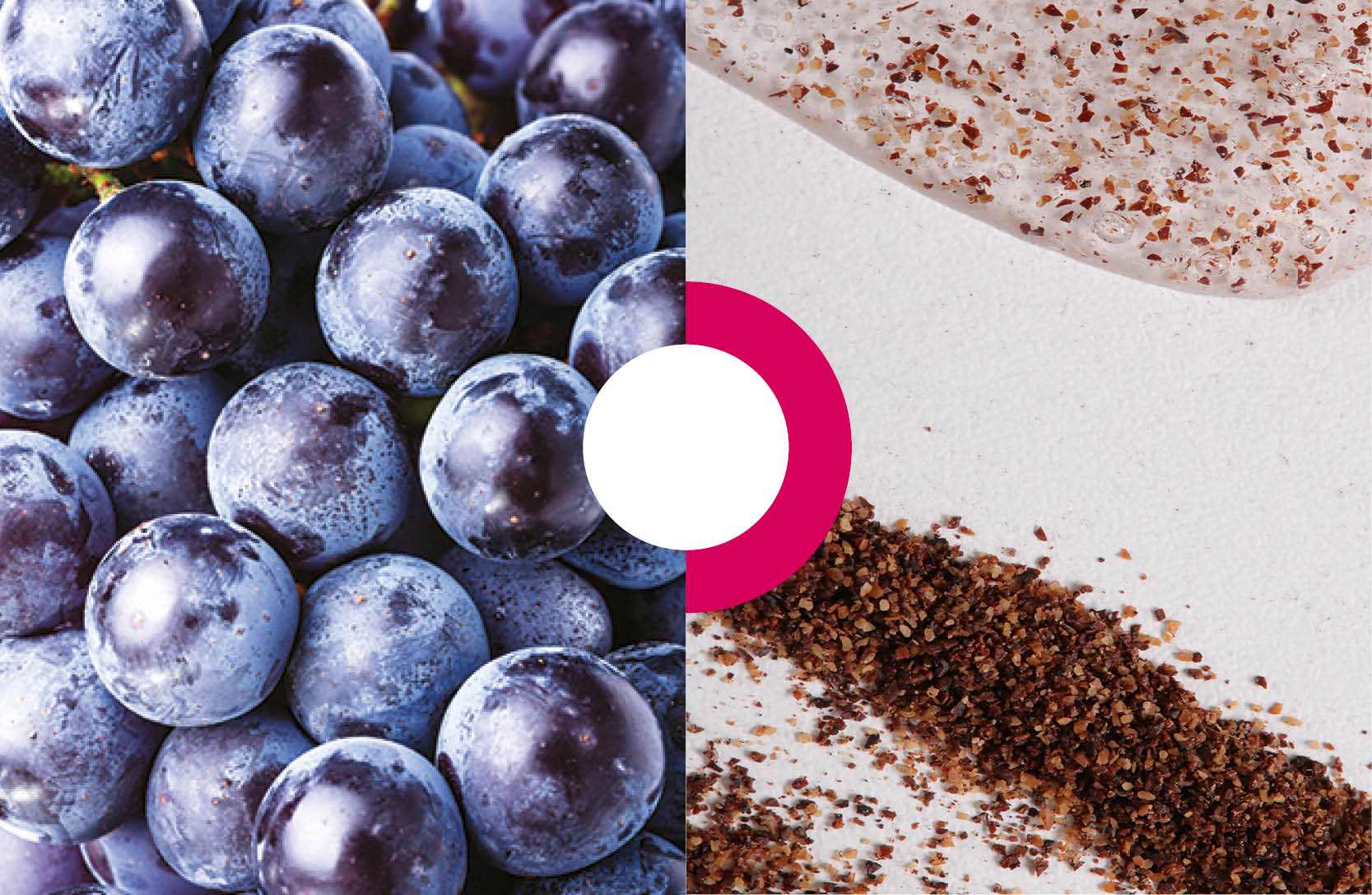 Natural exfoliating particles made from grape pomace