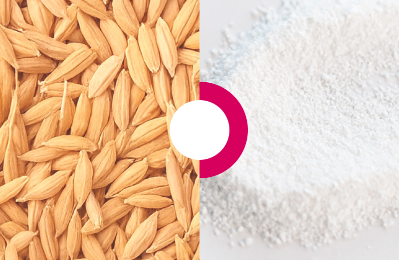White exfoliating particles made from rice husk extract