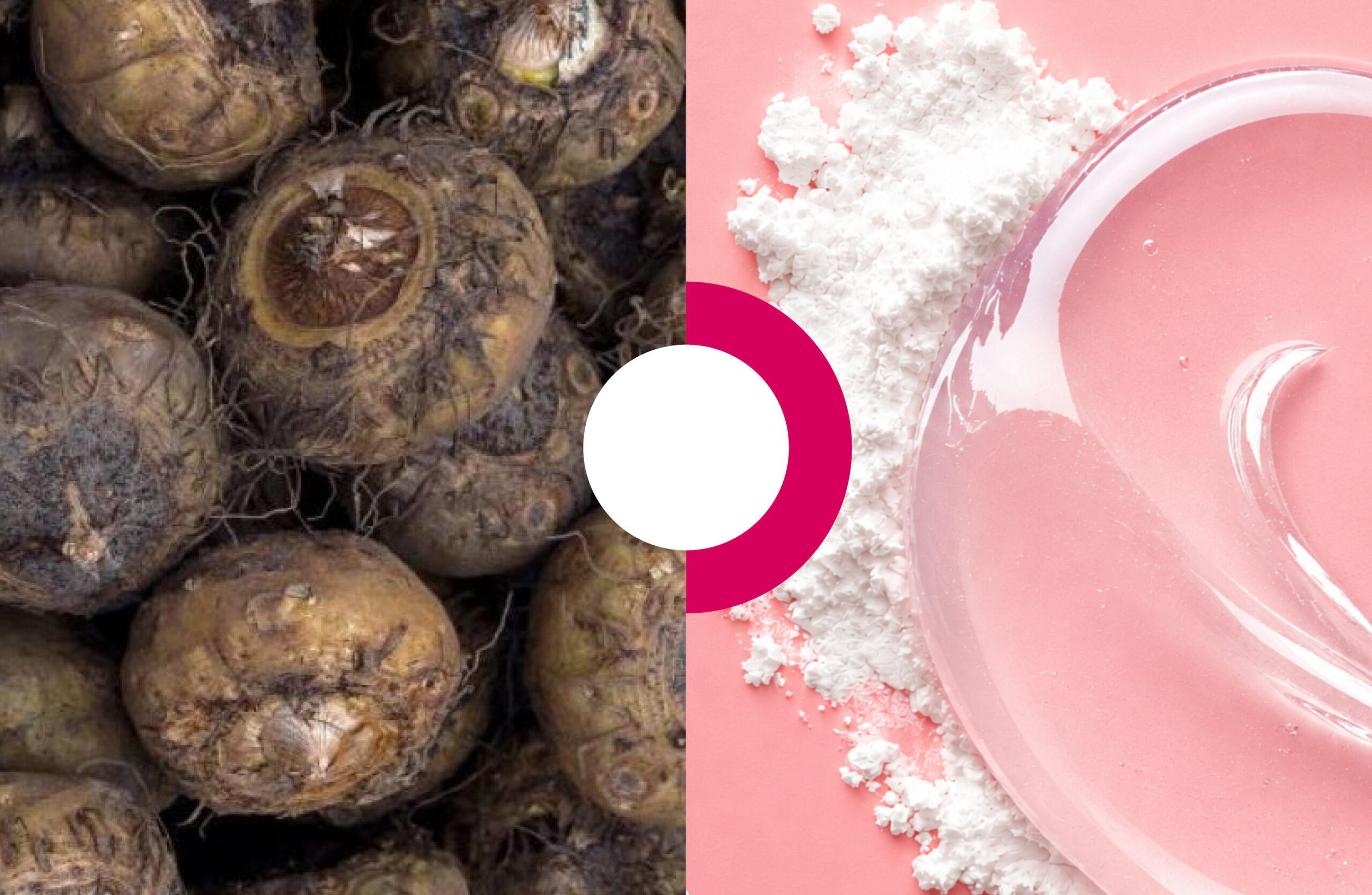 ALTER-GELIJAC natural konjac root gelling agent for translucent, high-viscosity cosmetic gels.