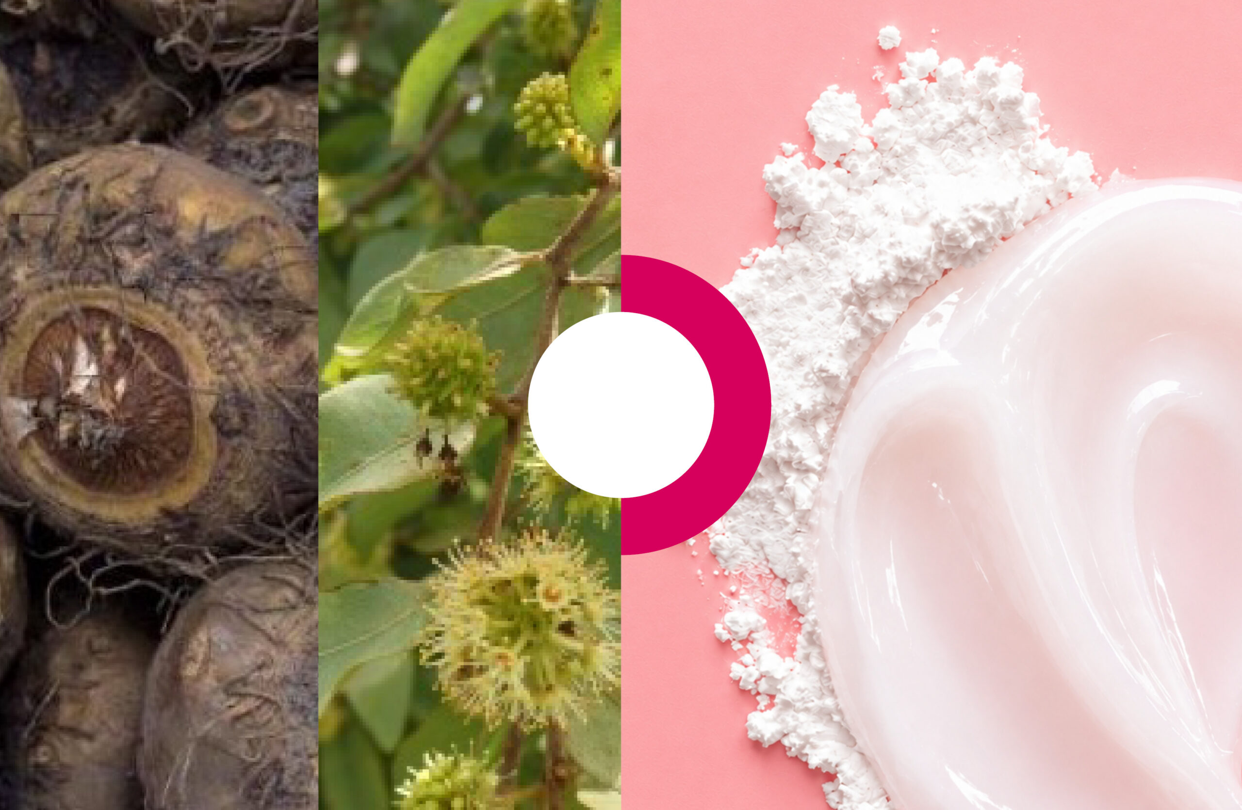 ALTER-EMULGEL natural plant-based emulsifier for gel cream formulations with a soft silicone-like skin feel.
