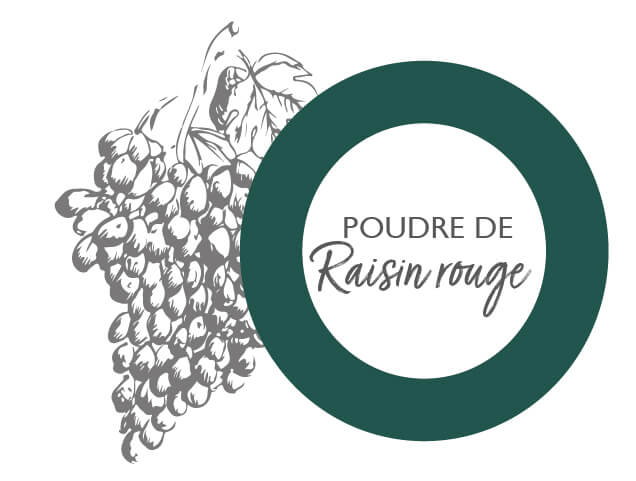 Lessonia-Foodingredient-Nutraceutique-Reference-Produit-19 Lessonia - concepteur ingredients food nutraceutique