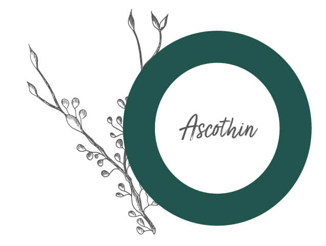 Lessonia-Foodingredient-Nutraceutique-Reference-Produit-26 Lessonia - concepteur ingredients food nutraceutique