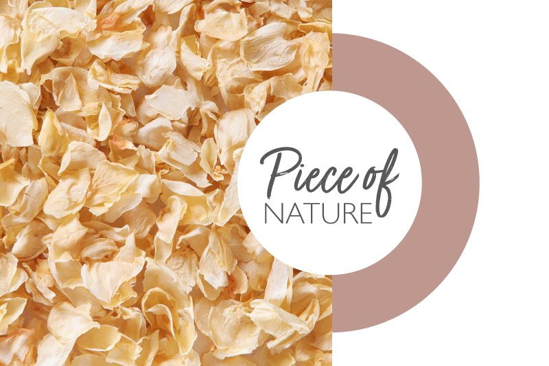 Lessonia—Piece-of-nature-Jasmin