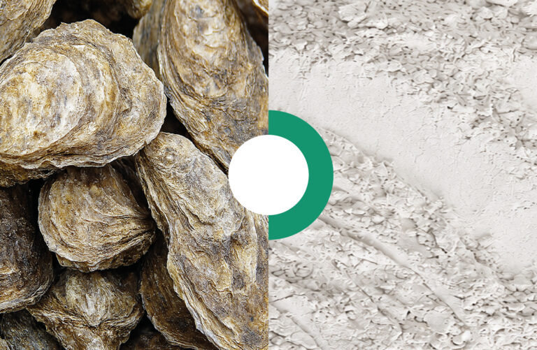Nutraceautical Collection - Lessonia