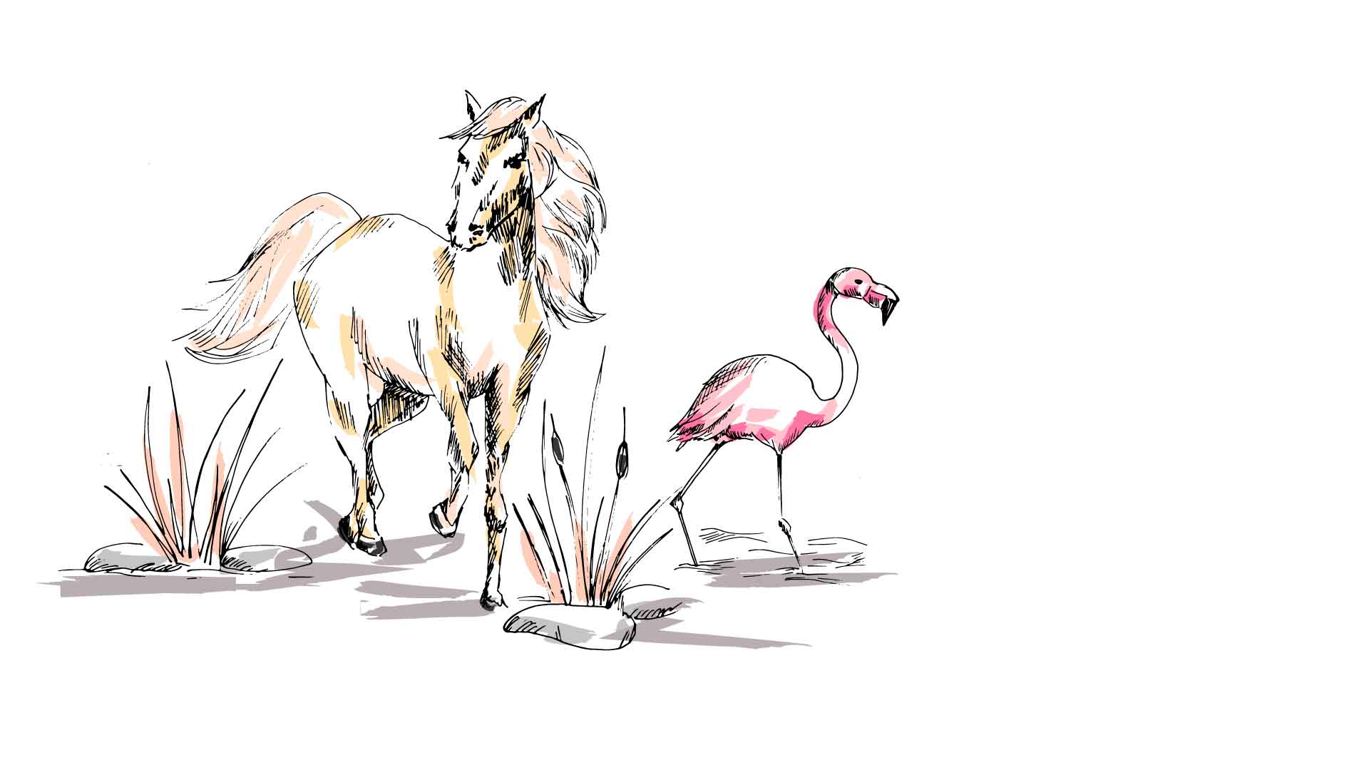 Setrace-flamant-rose-chevaux-camargue-BD