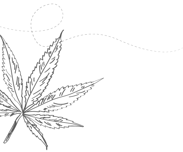 hemp-identite-olfactive-prononcee-lessonia