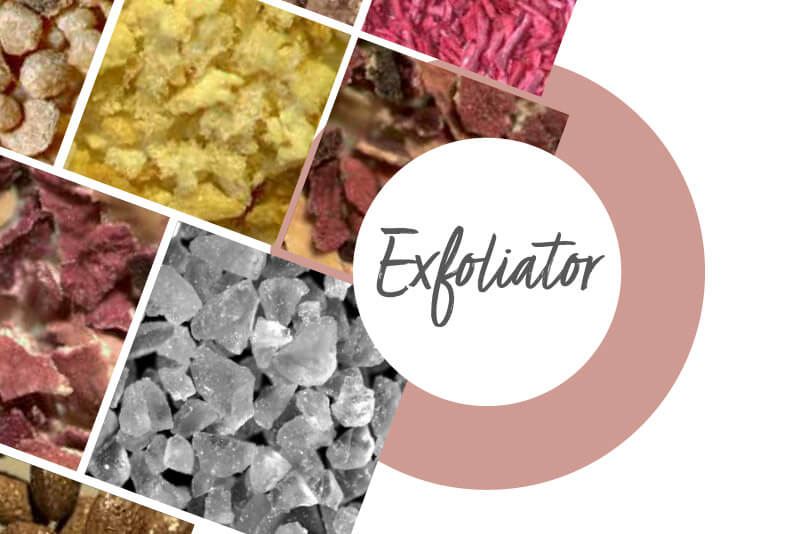 lessonia-exfoliator-natural-exfoliants-for-cosmetic-products Lessonia - fabricant exfoliant - Exfoliant manufacturer - Exfoliator natural exfoliant for cosmetic products