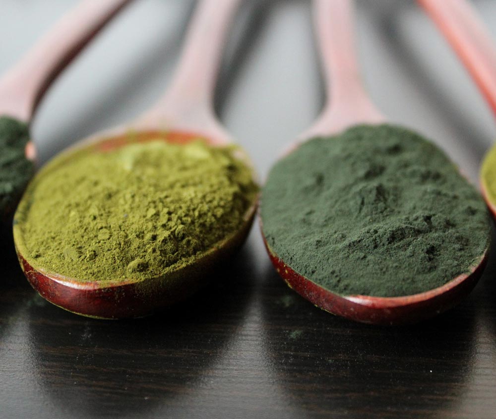 lessonia-food-ingredients-concepteur-Fabricant-ingredients-alimentaires-nutraceuptiques-poudre-algues
