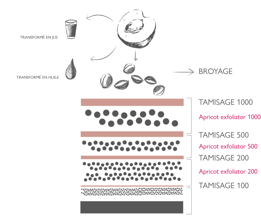 lessonia-ingredients-cosmetics-gamme-poudre-exemple-abricot Lessonia ingredients - Processus de fabrication poudre cosmétique