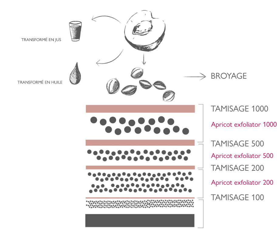 Lessonia ingredients - Processus de fabrication poudre cosmétique