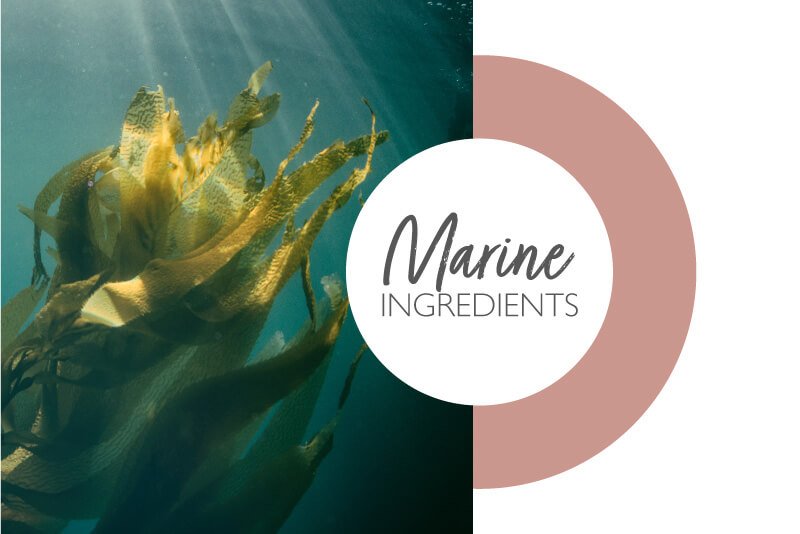 The Wondrous Wakame Seaweed – Mermaid Cosmetics