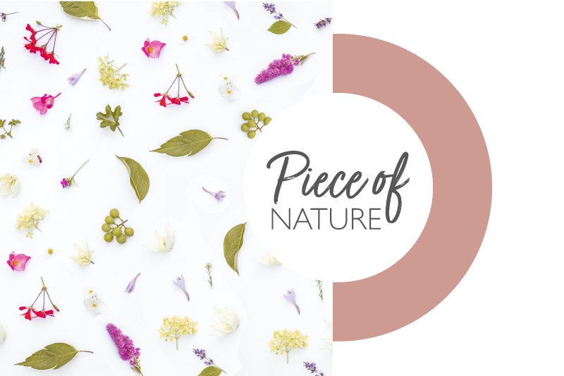 lessonia-ingredients-cosmetics-piece-of-nature