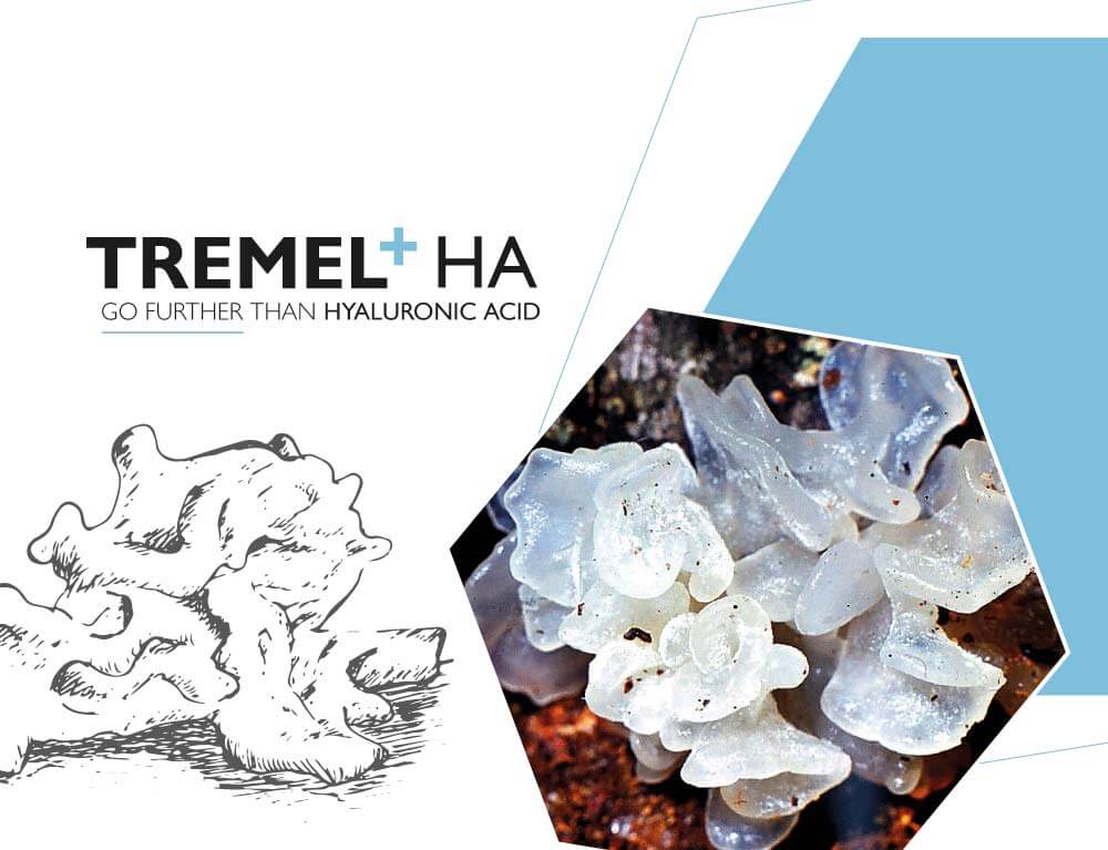 lessonia-ingredients-cosmetics-tremel+ha
