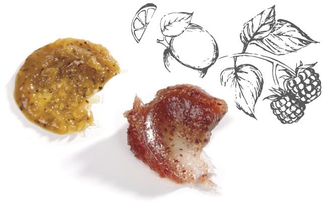 lessonia-ingredients-marketing-exfoliant